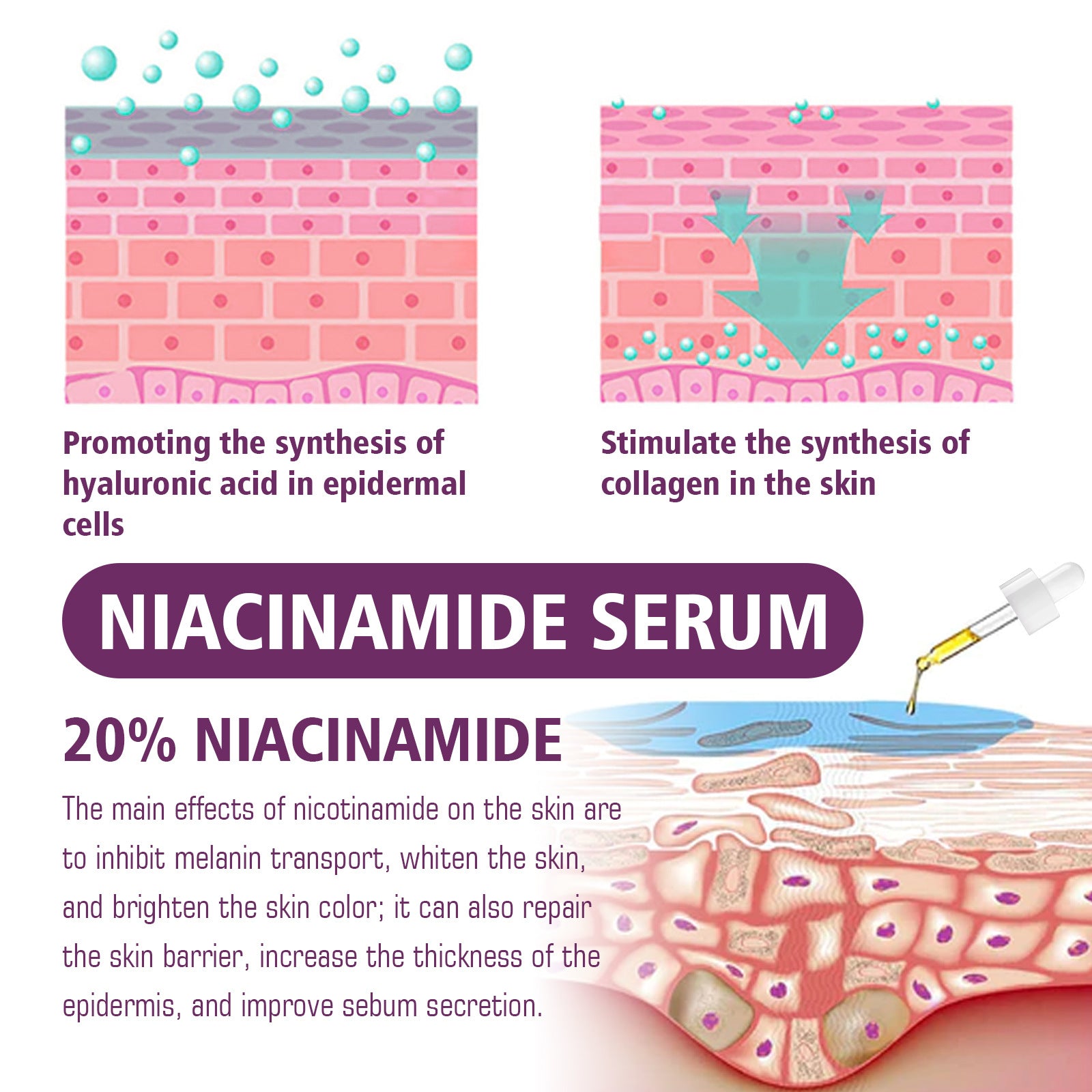 Niacinamide Essence for Facial Skin Care